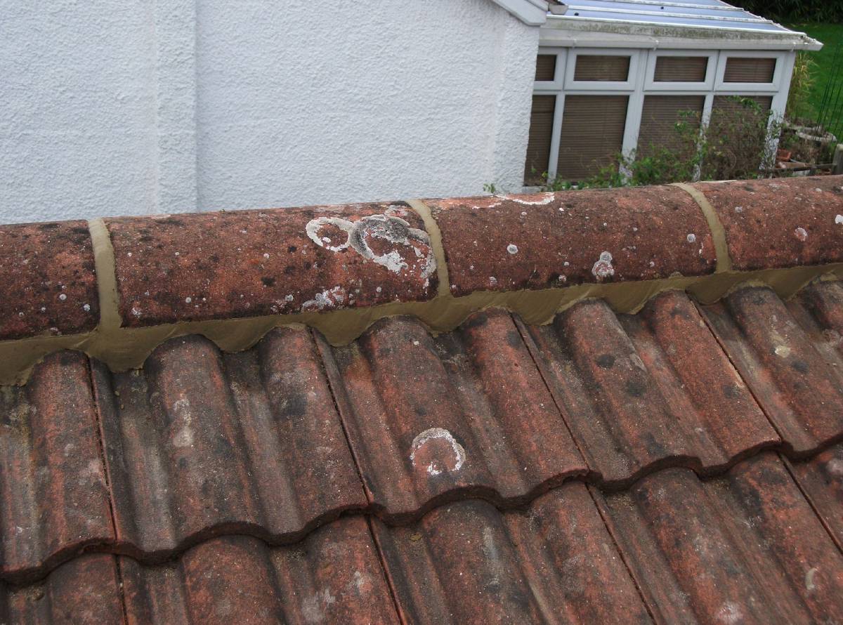 Roofers in Sutton and Surrey Roofers in Sutton and Surrey